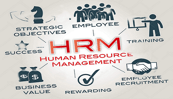 human resource management hrm,chrmp,phri,sphr