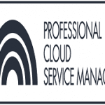 Professional Cloud Service Manager